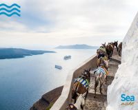 Vizesiz Yunan Adaları-4